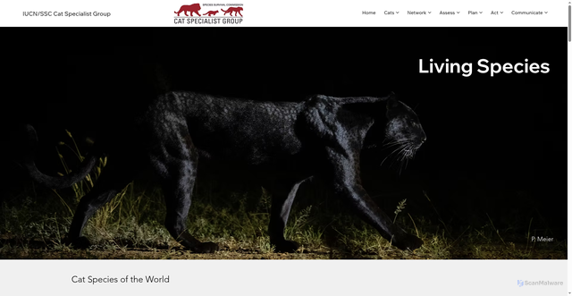 Security scan screenshot of https://www.catsg.org/cats/livingspecies