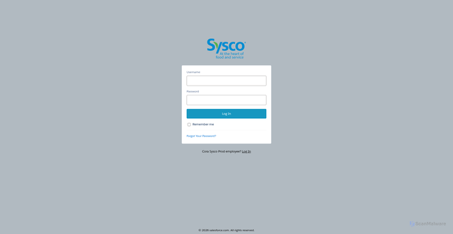 Security scan screenshot of https://syscoapflow.my.site.com/login