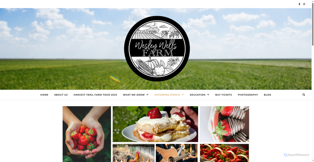 Security scan screenshot of https://wesleywellsfarm.com/strawberry-festival/