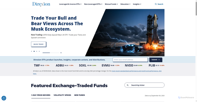 Security scan screenshot of https://www.direxion.com