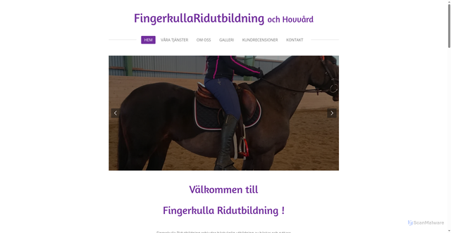 Security scan screenshot of https://fingerkulla.se