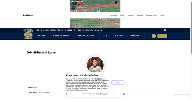 Security scan screenshot of https://gomightybanyans.com/sports/baseball/roster/ryan-ward/438