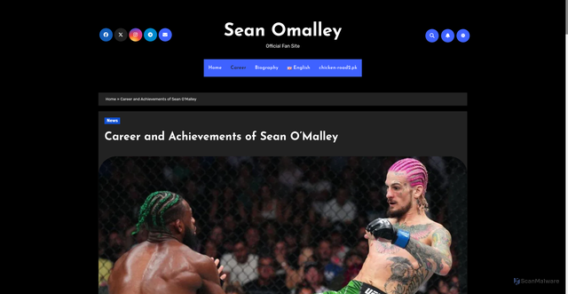 Security scan screenshot of https://sean-omalley.com/career/