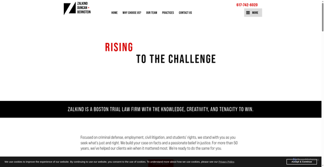 Security scan screenshot of https://www.zalkindlaw.com/