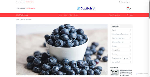 Security scan screenshot of https://1111capitals.com/category/apparel/