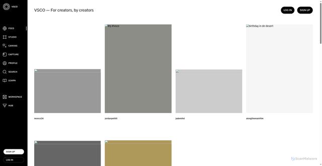 Security scan screenshot of https://cantor-lite-api.vsco.co/