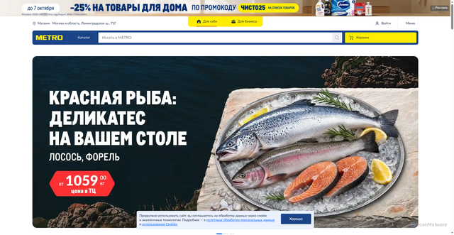 Security scan screenshot of https://metro-cc.ru
