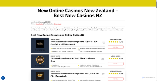 Security scan screenshot of https://csafe.org.nz