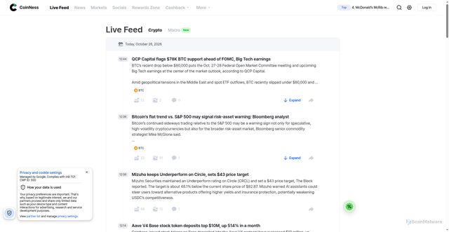 Security scan screenshot of https://coinness.com/en/