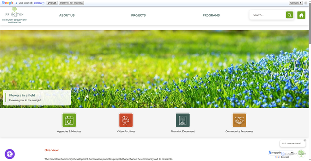 Security scan screenshot of https://www.princetontx.gov/cdc