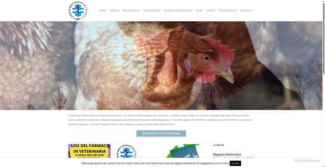 Security scan screenshot of https://www.veterinariasti.it/