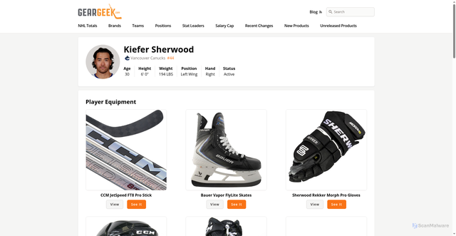 Security scan screenshot of https://www.geargeek.com/team/vancouver-canucks/kiefer-sherwood