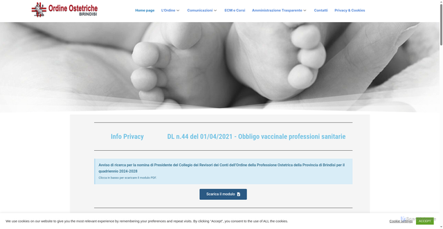 Security scan screenshot of https://www.ordineostetrichebrindisi.it/