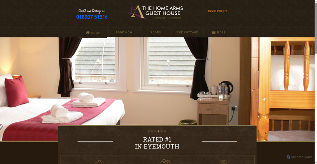 Security scan screenshot of https://www.thehomearms.com/