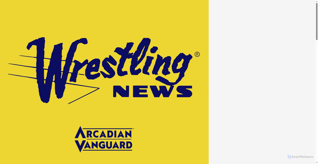 Security scan screenshot of https://thewrestlingnews.com/tag/joe-doering/