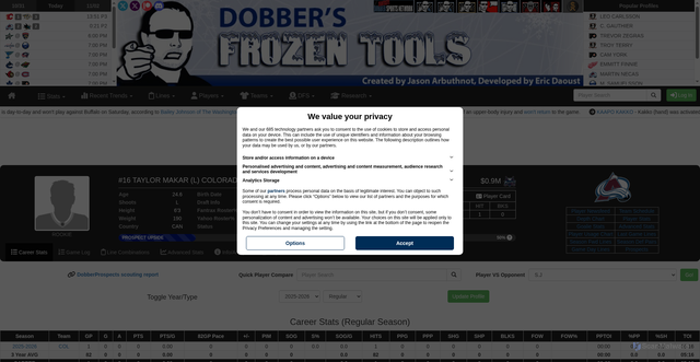 Security scan screenshot of https://frozenpool.dobbersports.com/players/taylor-makar