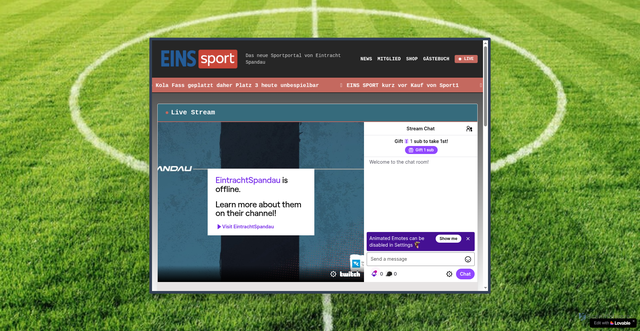 Security scan screenshot of https://einssport.de/
