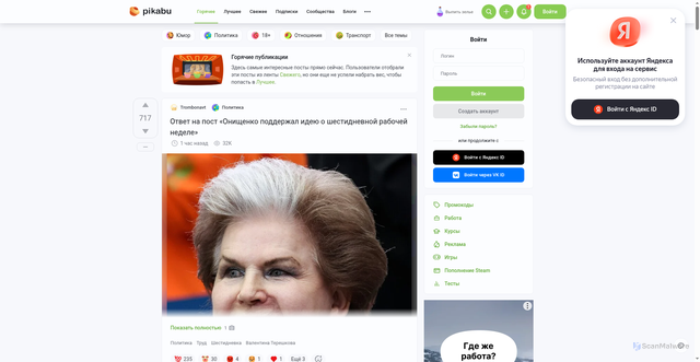 Security scan screenshot of https://cs11.pikabu.ru