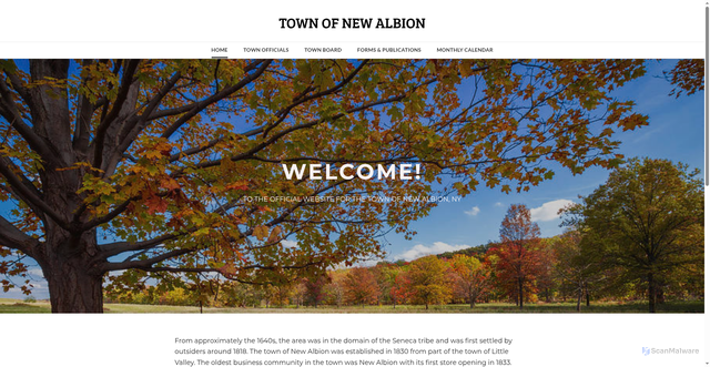 Security scan screenshot of https://www.newalbionny.gov/