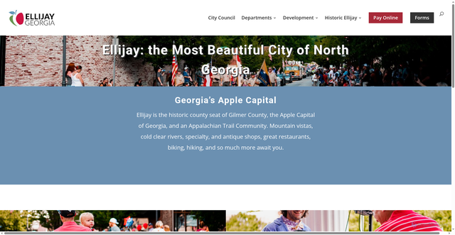 Security scan screenshot of https://ellijay-ga.gov/