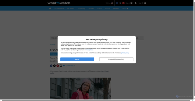 Security scan screenshot of https://www.whattowatch.com/watching-guides/elsbeth-season-3-everything-we-know