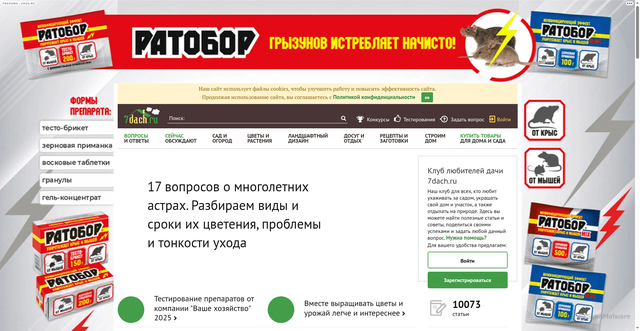 Security scan screenshot of https://img.7dach.ru