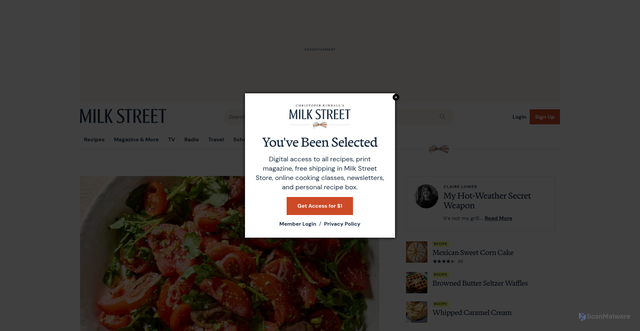 Security scan screenshot of https://www.177milkstreet.com