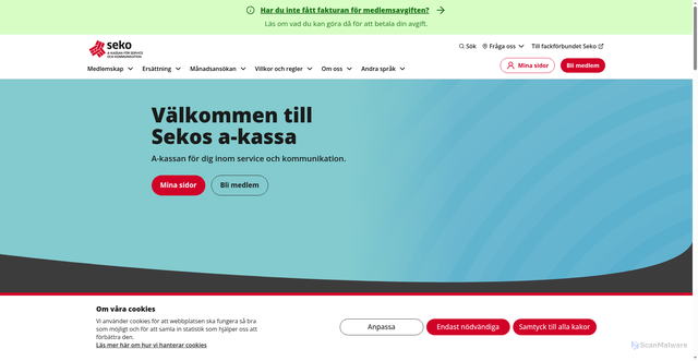Security scan screenshot of https://sekosakassa.se
