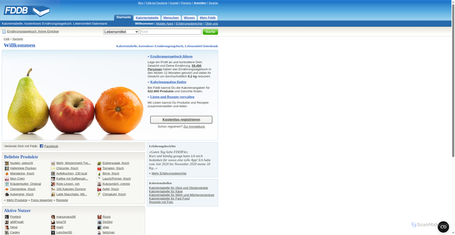 Security scan screenshot of https://fddb.info