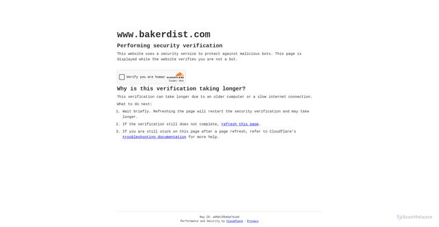 Security scan screenshot of https://www.bakerdist.com