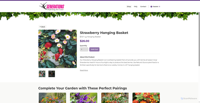 Security scan screenshot of https://generationsperforming.sowzer.com/shop_/t23049/t33174-strawberry-hanging-basket