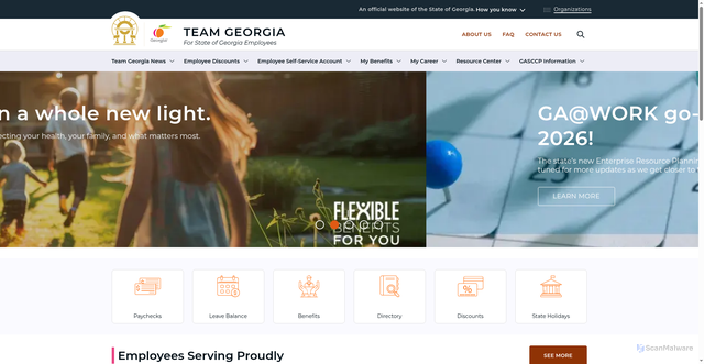 Security scan screenshot of https://team.georgia.gov/