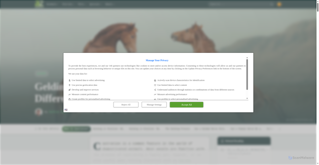 Security scan screenshot of https://a-z-animals.com/blog/gelding-vs-stallion-whats-the-difference/