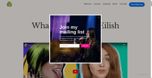 Security scan screenshot of https://www.bethroars.com/singing-blog-tips/what-makes-billie-eilish-great
