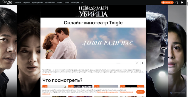 Security scan screenshot of https://tvigle.ru