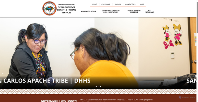 Security scan screenshot of https://scatdhhs.gov/