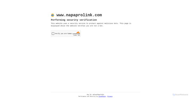 Security scan screenshot of https://www.napaprolink.com