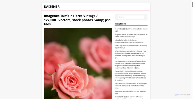 Security scan screenshot of https://renezeika.pages.dev/post/imagenes-tumblr-flores-vintage/