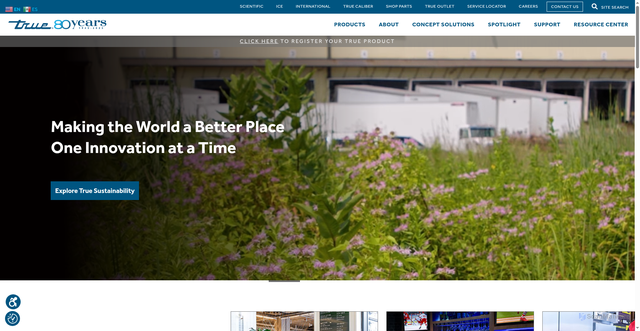 Security scan screenshot of https://truemfg.com