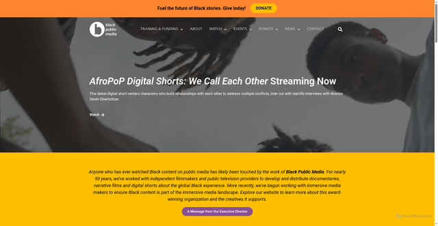 Security scan screenshot of https://blackpublicmedia.org/