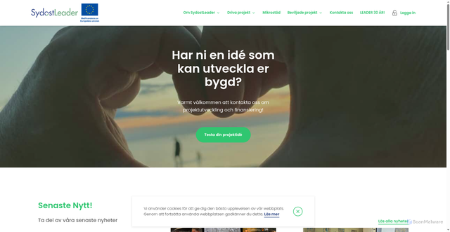 Security scan screenshot of https://sydostleader.se