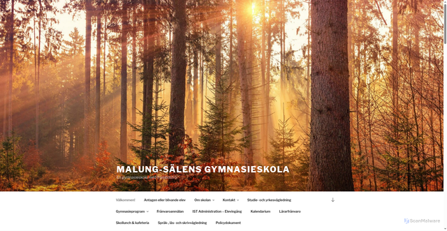 Security scan screenshot of https://msgskola.se/