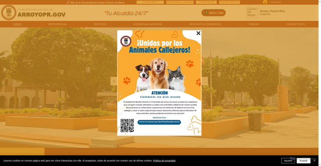 Security scan screenshot of https://www.arroyopr.gov/