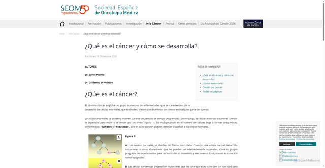 Security scan screenshot of https://seom.org/informacion-sobre-el-cancer/que-es-el-cancer-y-como-se-desarrolla