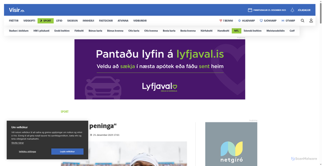 Security scan screenshot of https://www.visir.is/g/20252821717d/-eg-elska-peninga-