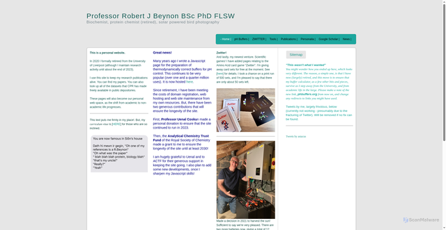 Security scan screenshot of https://phbuffers.org