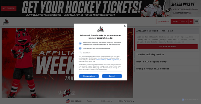 Security scan screenshot of https://echlthunder.com/