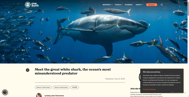 Security scan screenshot of https://www.oneearth.org/meet-the-great-white-shark-the-oceans-most-misunderstood-predator/