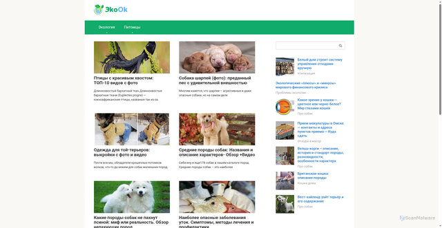 Security scan screenshot of https://okrsredkchr.ru