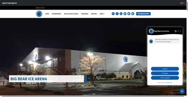 Security scan screenshot of https://www.bigbearice.com/